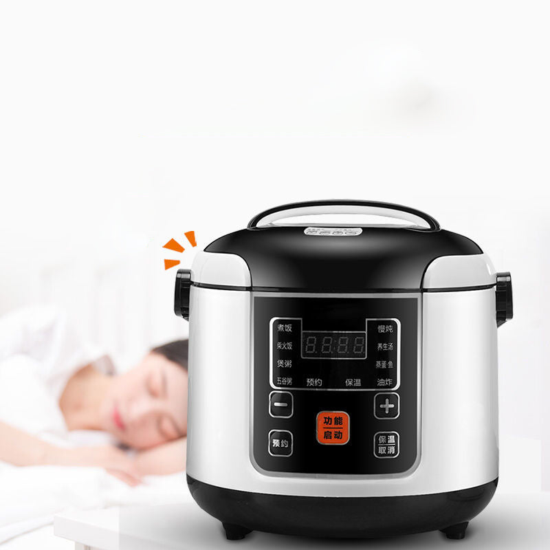 Mini Electric Rice Cooker Small 110V Portable Cooker